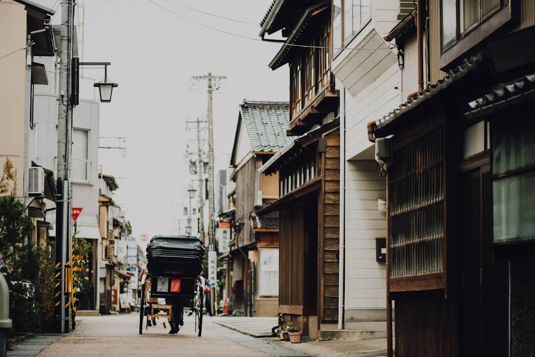 背景に山が写っている画像